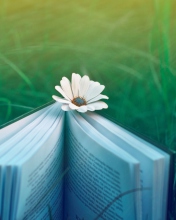 Book And Flower wallpaper 176x220