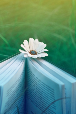 Book And Flower wallpaper 320x480