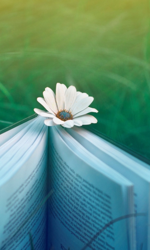 Book And Flower wallpaper 480x800