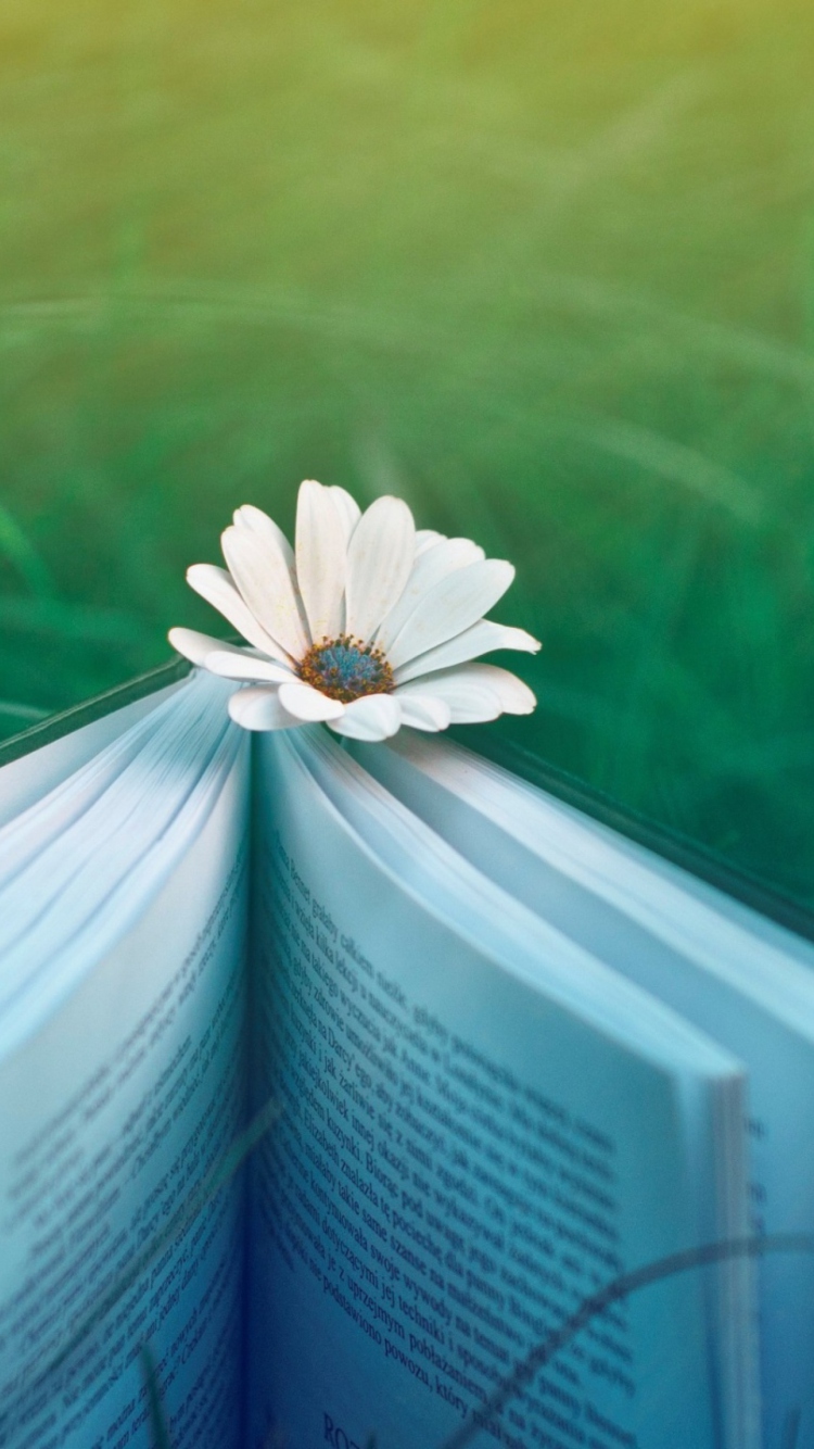 Book And Flower wallpaper 750x1334