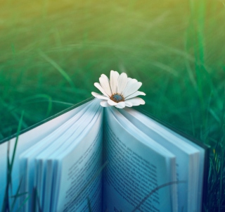 Book And Flower - Obrázkek zdarma pro 1024x1024