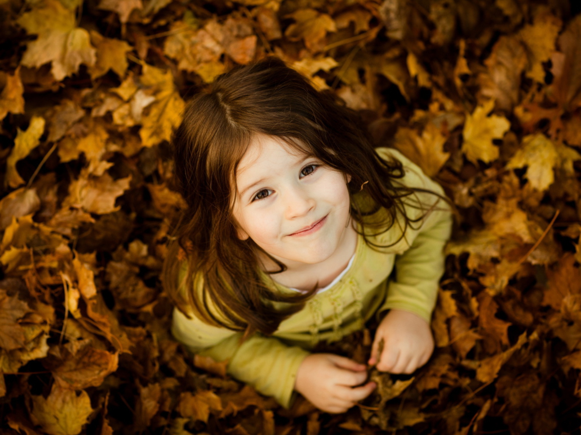 Screenshot №1 pro téma Child In Leaves 1152x864