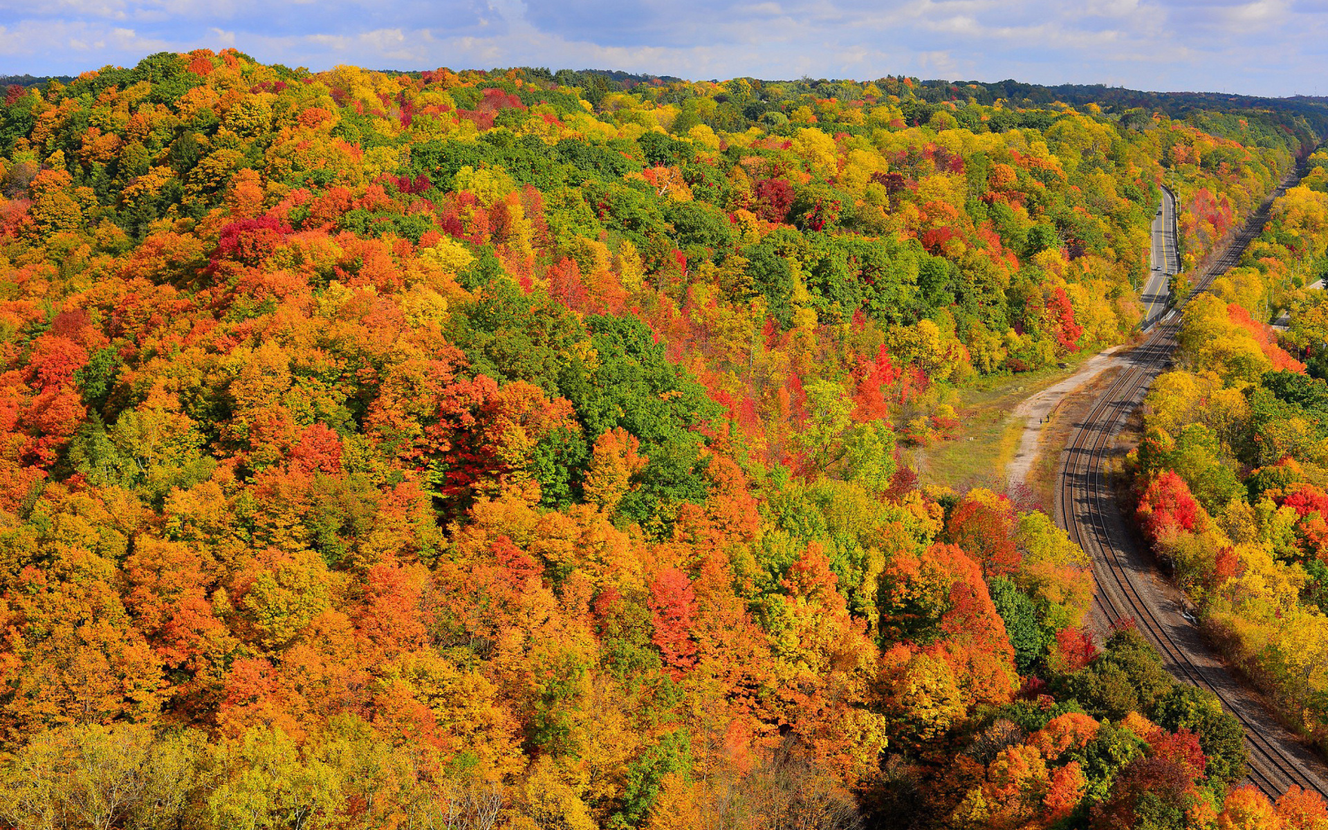 Fondo de pantalla Autumn Forest in Kelowna 1920x1200