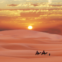 Fondo de pantalla Sahara Desert 208x208