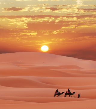 Sahara Desert papel de parede para celular para iPhone 5C