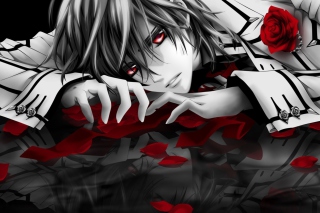 Free Vampire Knight Kuran Kaname Picture for Android, iPhone and iPad
