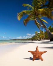 Sfondi Lopes Mendes Most Beautiful Beach 176x220