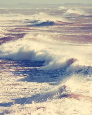Картинка Foamy Waves на iPhone 5C