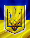 Screenshot №1 pro téma Flag and Coat of arms Of Ukraine 128x160