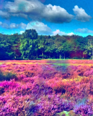 Field Of Color - Obrázkek zdarma pro Nokia X3