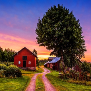 Free Countryside Sunset Picture for 128x128