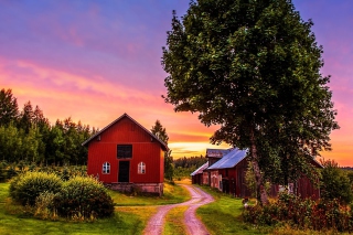 Countryside Sunset Background for Android, iPhone and iPad