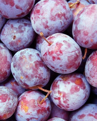 Plums - Obrázkek zdarma pro Nokia X7