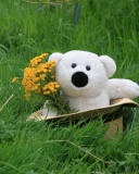 Обои White Teddy With Flower Bouquet 128x160