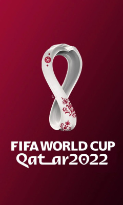 Das World Cup Qatar 2022 Wallpaper 240x400