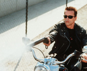 Arnold Schwarzenegger in Terminator 2 wallpaper 176x144