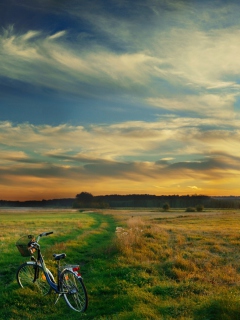 Riding Bicycle In Country Side wallpaper 240x320