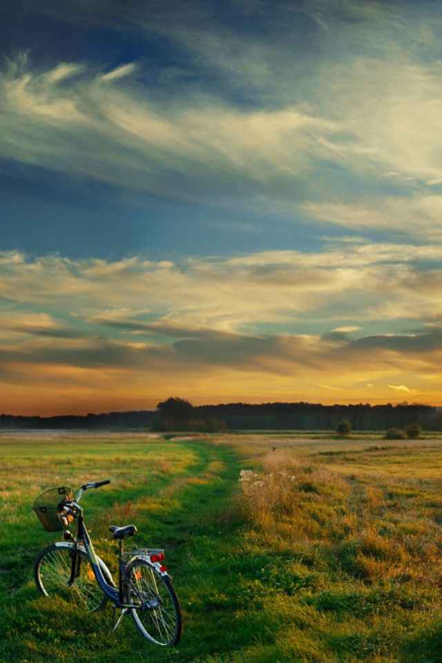 Screenshot №1 pro téma Riding Bicycle In Country Side 640x960