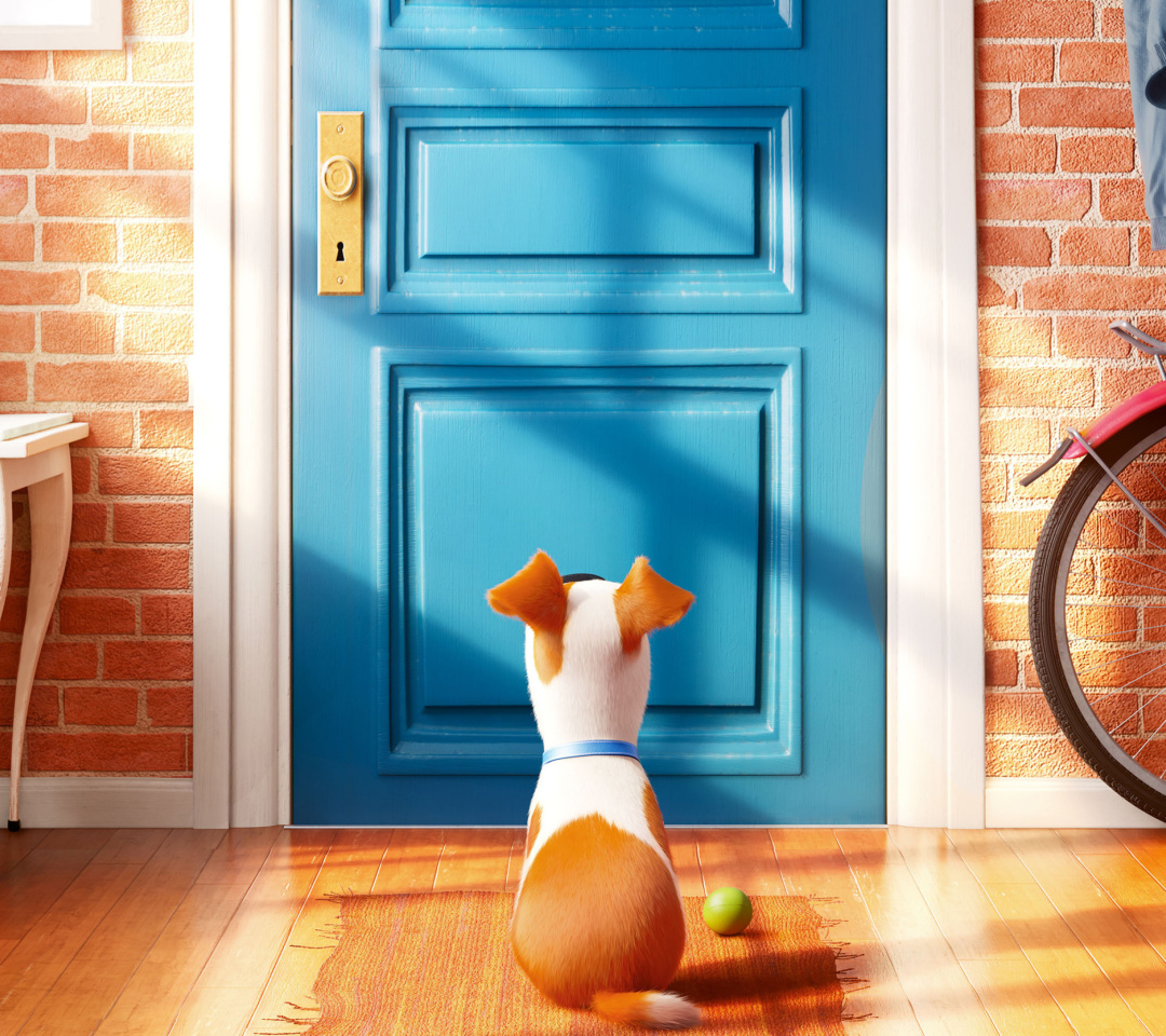 Screenshot №1 pro téma The Secret Life of Pets 1080x960