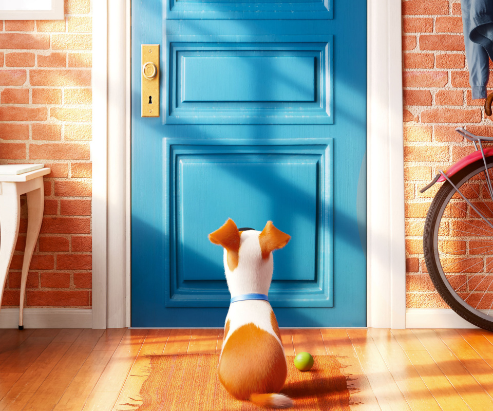 The Secret Life of Pets wallpaper 960x800