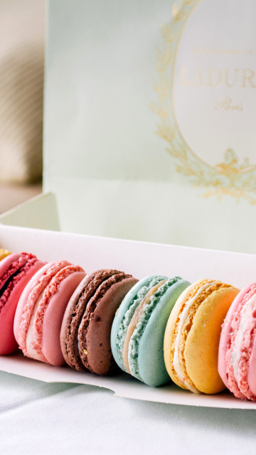 Das Macaron Allsorts Wallpaper 360x640