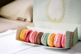 Macaron Allsorts Wallpaper for Android, iPhone and iPad