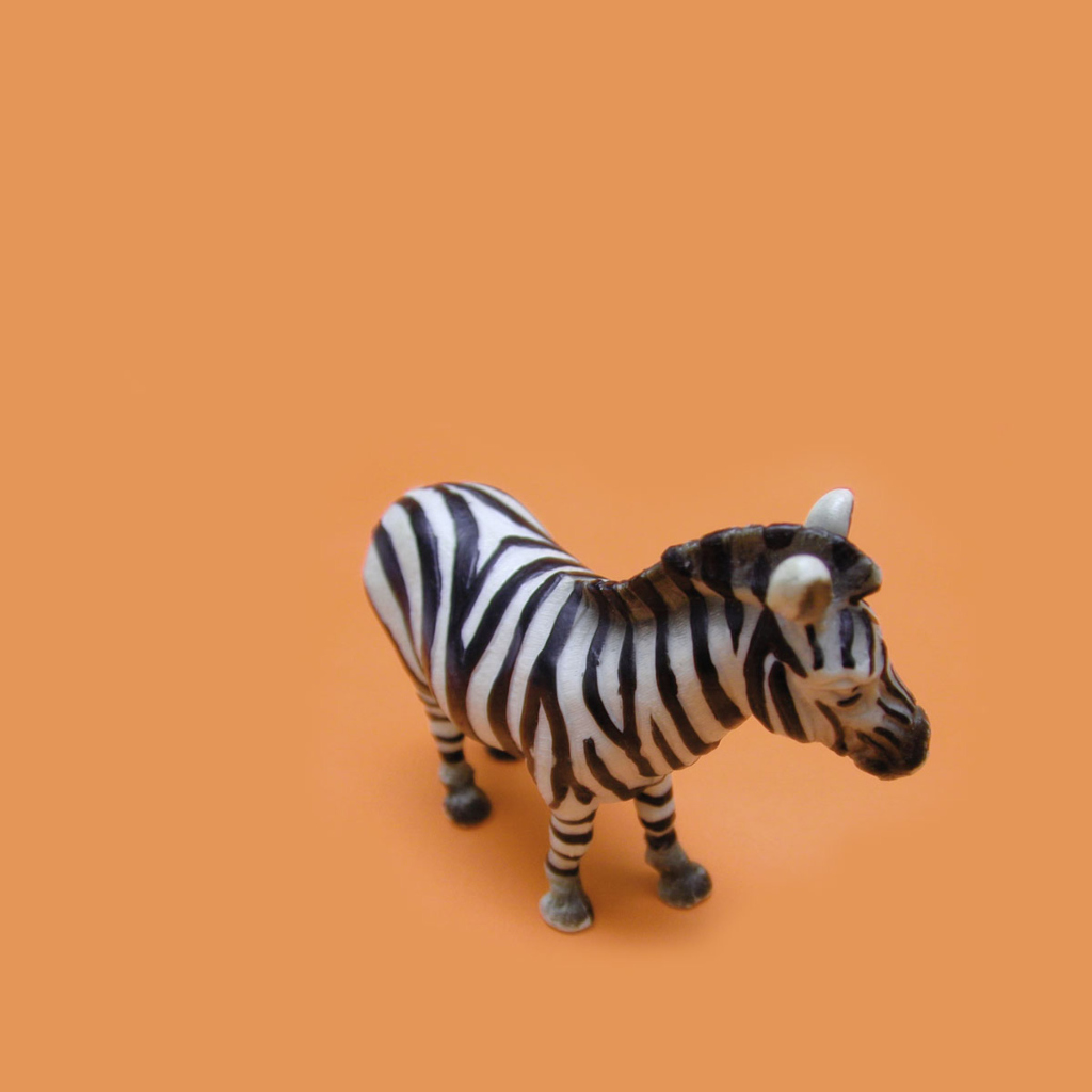 Das Zebra Toy Wallpaper 1024x1024