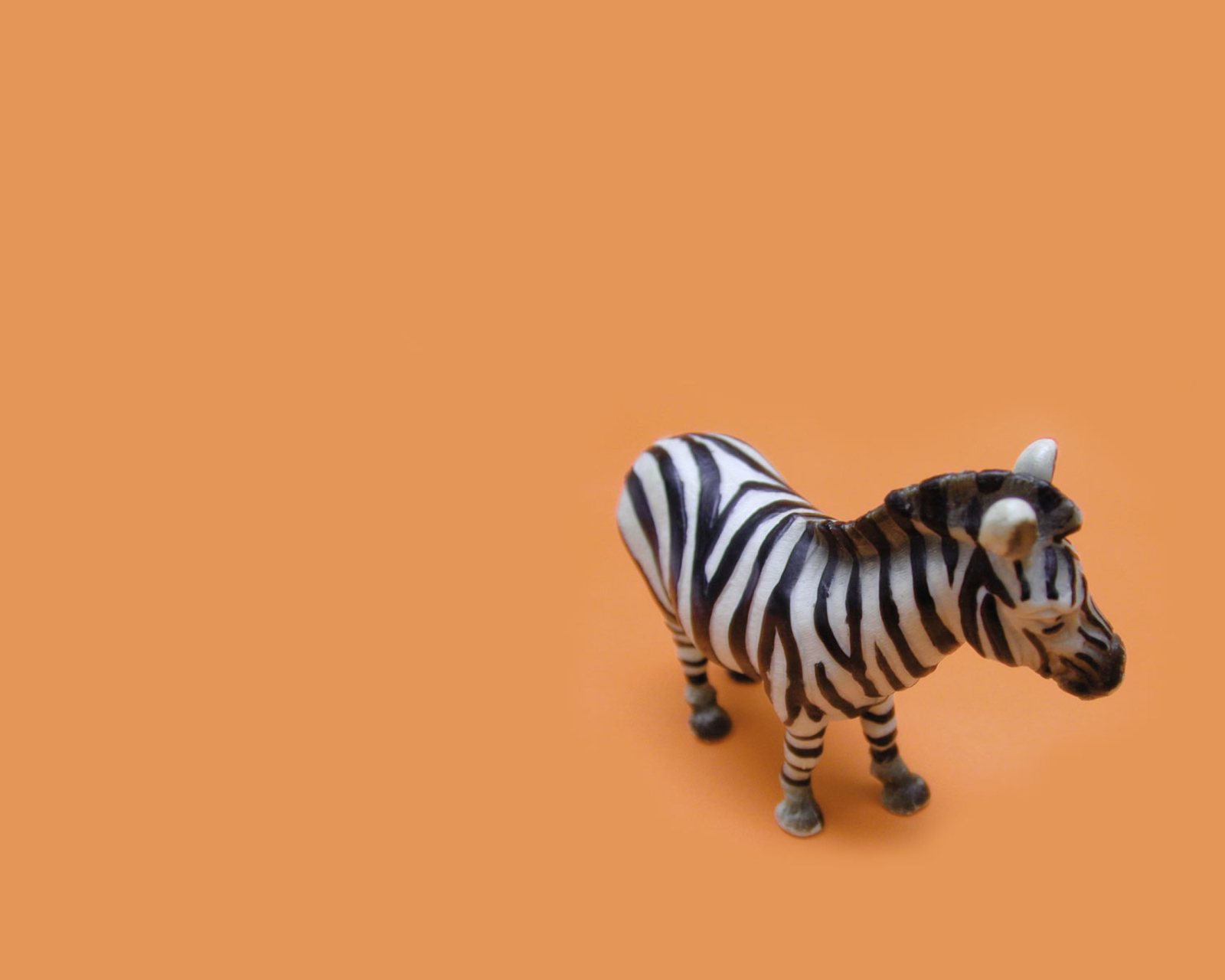 Das Zebra Toy Wallpaper 1600x1280