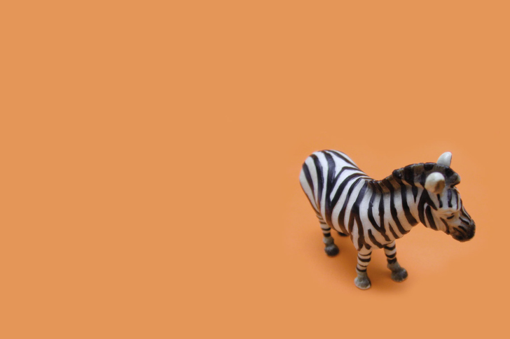 Das Zebra Toy Wallpaper