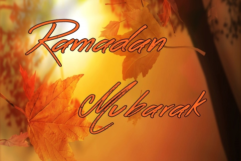 Screenshot №1 pro téma Ramadan Mubarak 480x320