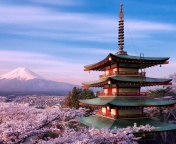 Fondo de pantalla Chureito Pagoda near Mount Fuji 176x144