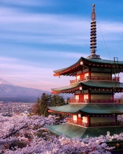 Обои Chureito Pagoda near Mount Fuji 176x220