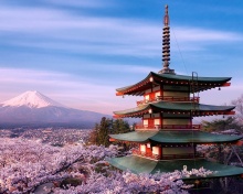 Sfondi Chureito Pagoda near Mount Fuji 220x176