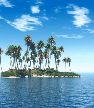 Tiny Island In Middle Of Sea - Obrázkek zdarma pro Nokia Asha 306