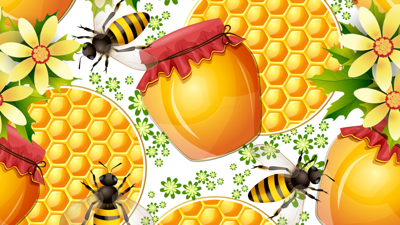 Fondo de pantalla Honey Search 1600x900