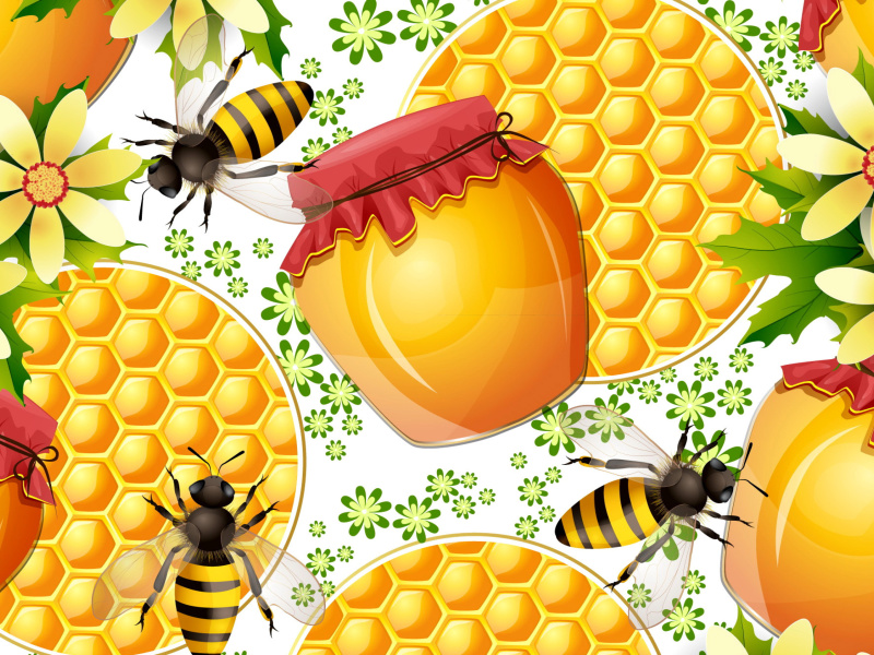 Das Honey Search Wallpaper 800x600