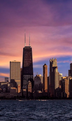 Chicago, Illinois screenshot #1 240x400