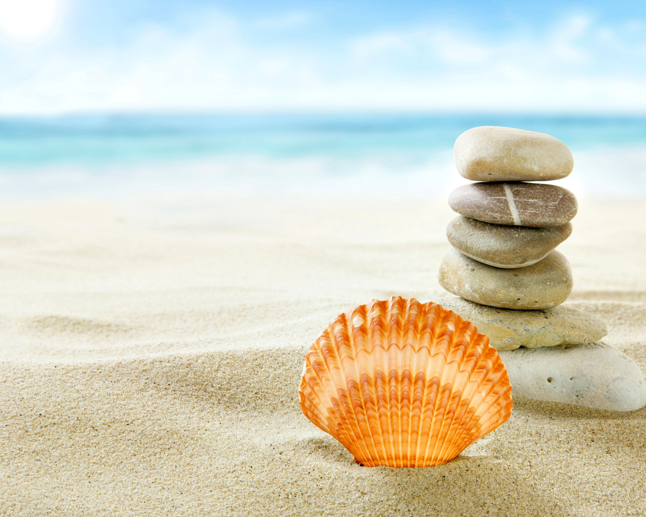 Sea Shells Beach wallpaper 1280x1024