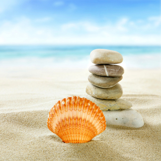 Kostenloses Sea Shells Beach Wallpaper für iPad