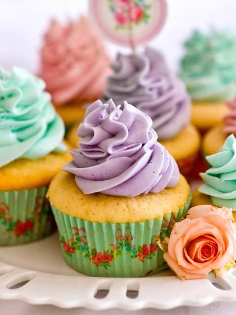 Birthday Cupcakes screenshot #1 480x640