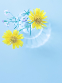 Screenshot №1 pro téma Yellow Daisies In Vase 240x320