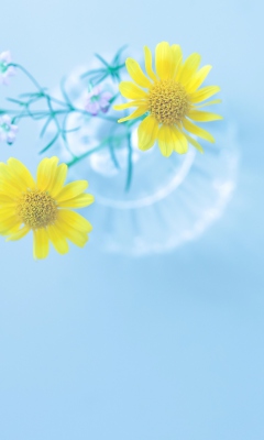 Screenshot №1 pro téma Yellow Daisies In Vase 240x400