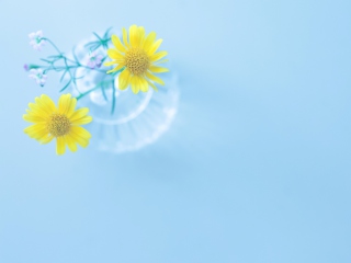 Screenshot №1 pro téma Yellow Daisies In Vase 320x240