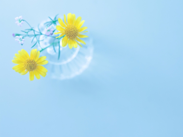 Screenshot №1 pro téma Yellow Daisies In Vase 640x480