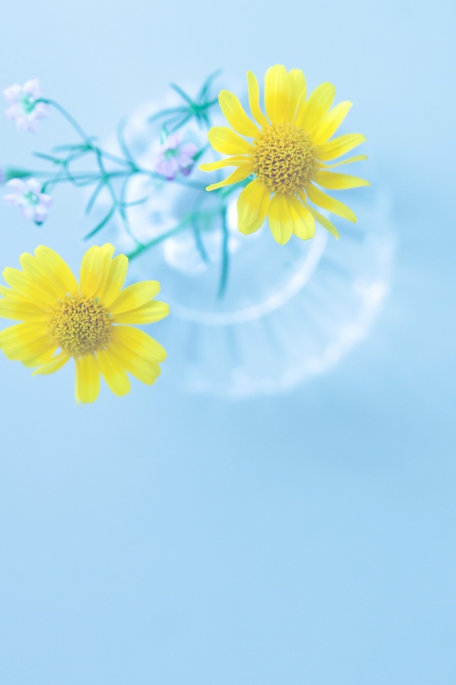 Screenshot №1 pro téma Yellow Daisies In Vase 640x960