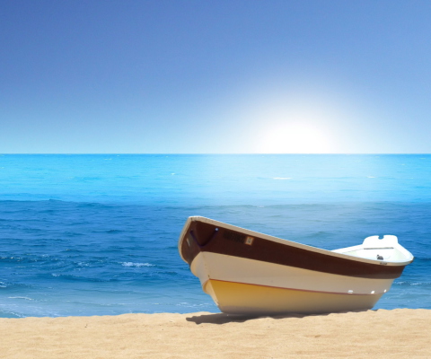 Screenshot №1 pro téma Boat On Beach 480x400