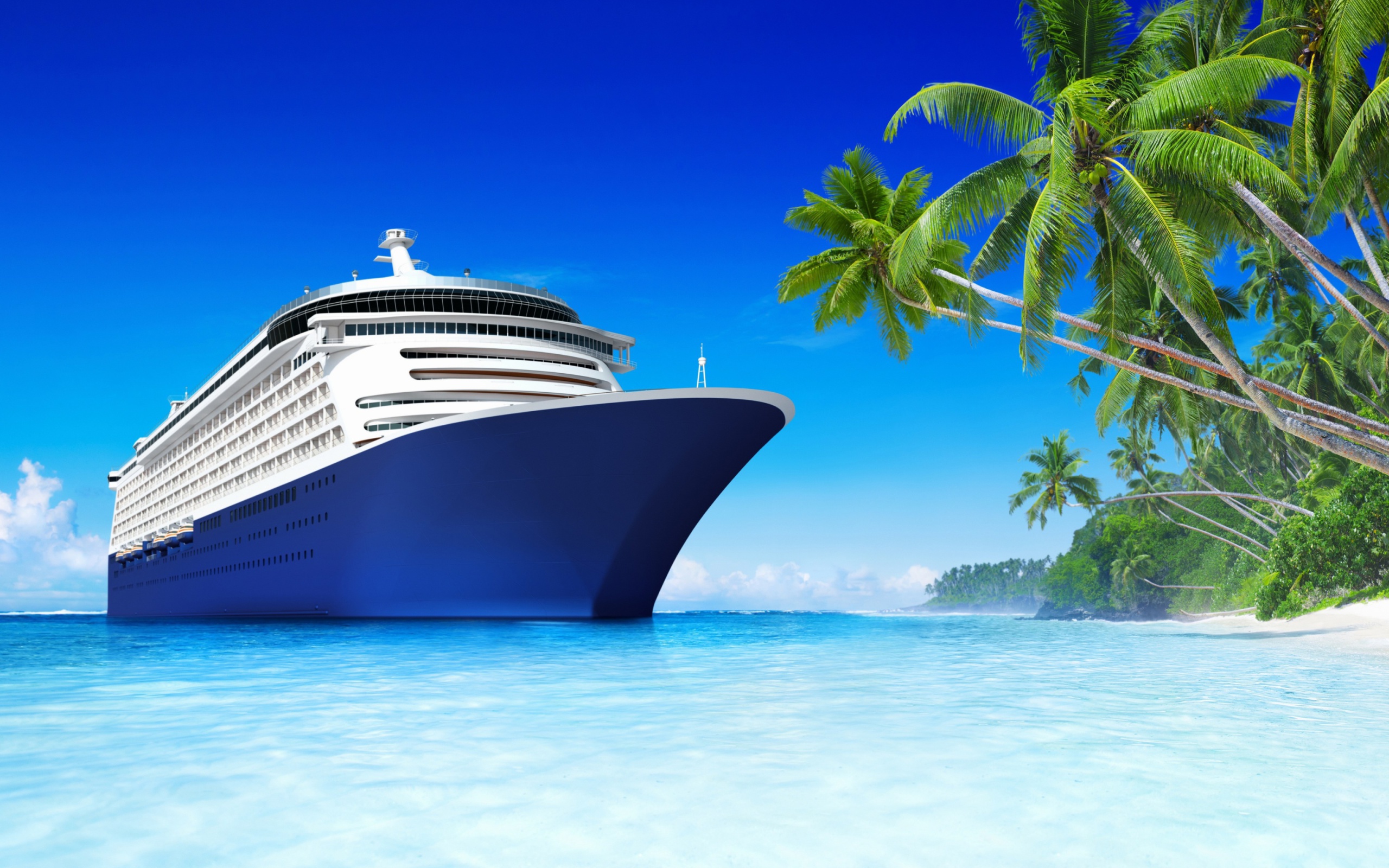 Royal Tropics Cruise wallpaper 2560x1600