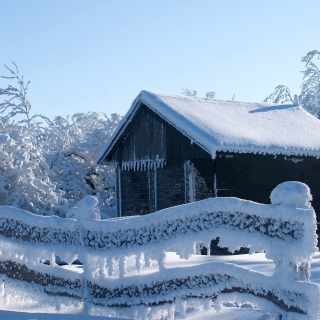 Snowy Wintertime - Obrázkek zdarma pro 1024x1024