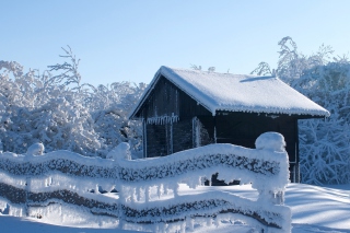 Snowy Wintertime - Obrázkek zdarma pro HTC Desire 310