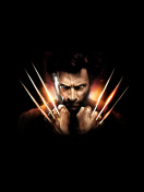 Fondo de pantalla Wolverine 132x176